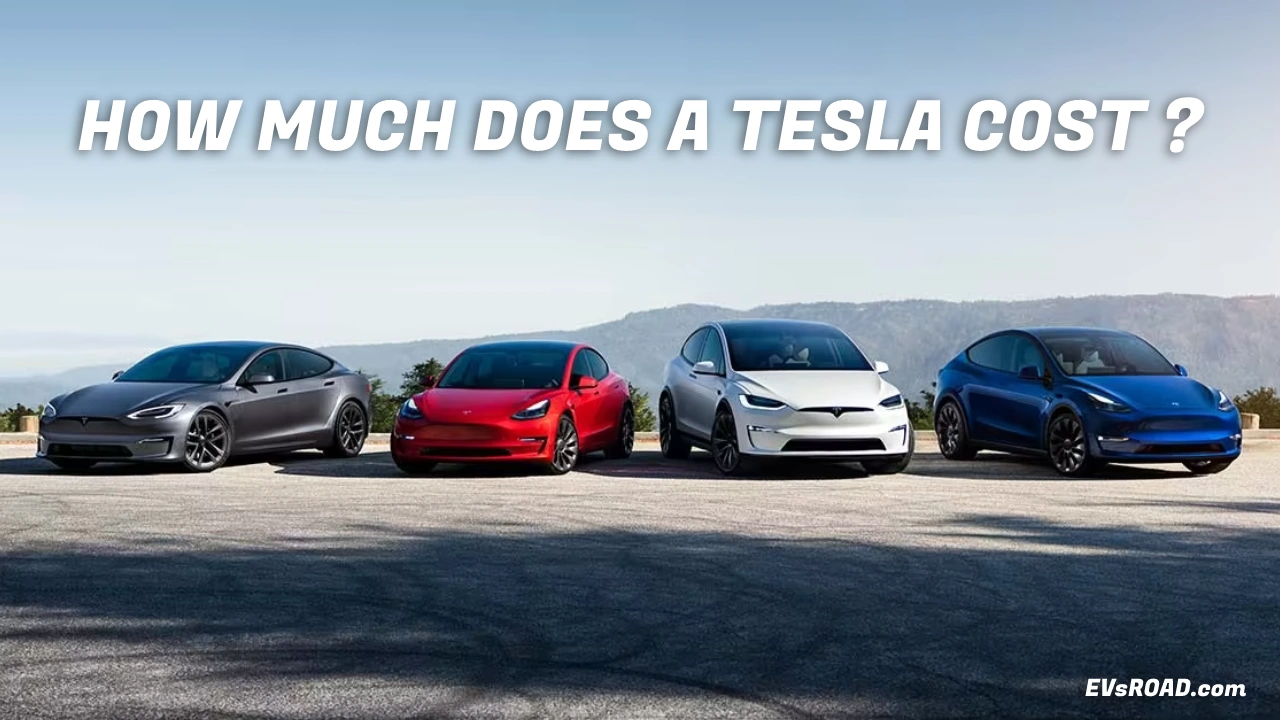 How Much Does a Tesla Cost? EVsROAD