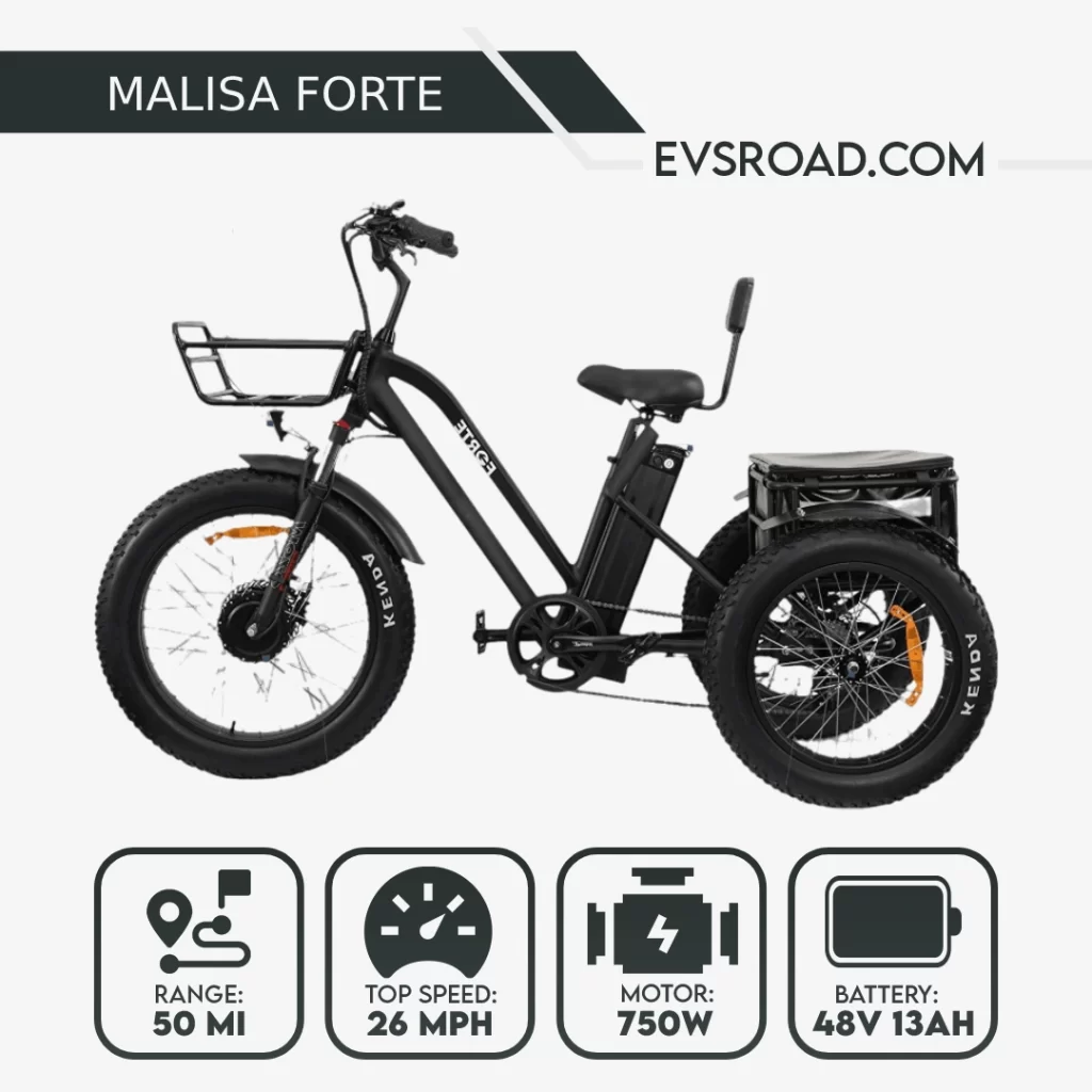 MALISA Forte Electric Trike for Adults